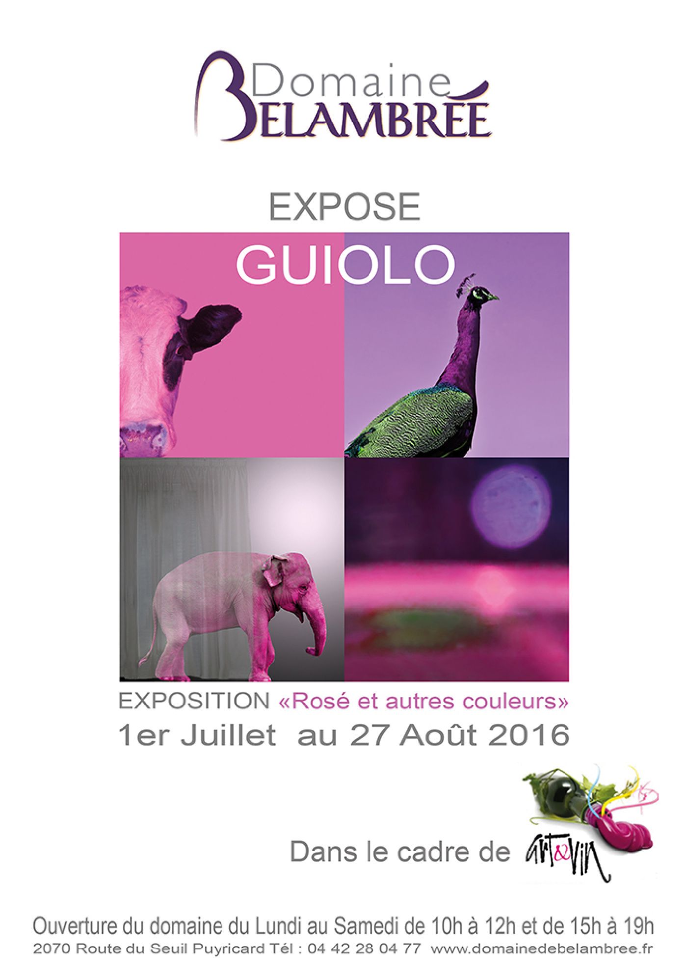 Exposition Bélambrée de Guiolo photographe à Aix en Provence
