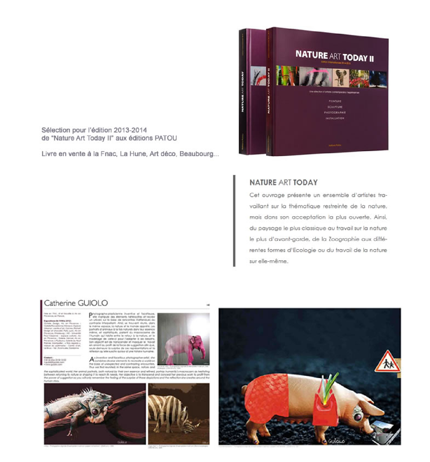 Livre nature Art Today II Guiolo photographe à Aix en Provence